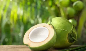 Un coco vin frais, coupé en deux, révèle sa chair blanche et son eau. Sur un fond de verdure tropicale, il invite à la dégustation.