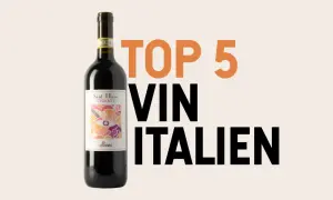 Bouteille de vin rouge italien avec l'étiquette "Sant'Ellero Chianti". Texte "TOP 5 VIN ITALIEN" suggérant une signification IGT.