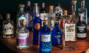 Collection de bouteilles de gin, mettant en avant divers gin ingrédients et leurs étiquettes.