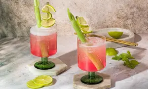 Deux Sarti Spritz pétillants, garniture de céleri et rondelles de citron vert.