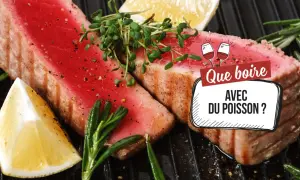 Deux beaux steaks de thon grillés, ornés de pousses fraîches et de quartiers de citron, posés sur un grill. Une question se pose : quel vin rouge pour accompagner ce poisson ?