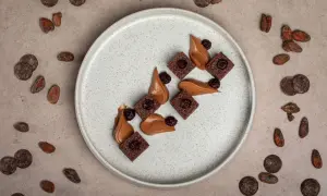 Carrés de brownie au chocolat, garnis de cerises, avec une crème onctueuse. Un délicieux dessert vegan, entouré de fèves de cacao et de pastilles de chocolat noir.