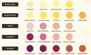 Tableau des couleurs de la robe d'un vin : du jaune pâle au rouge ambré, en passant par les rosés et clarets.