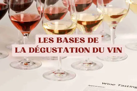 Verres de vin rouge, rosé et vin clair, prêts pour une dégustation.