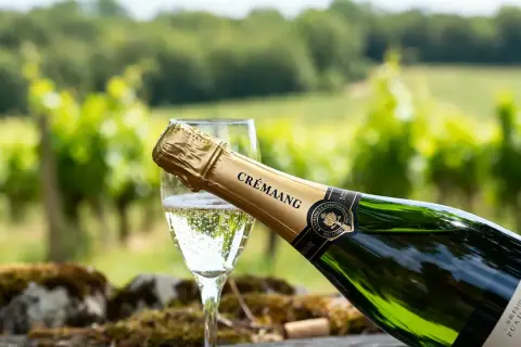Une bouteille de Crémant d'Alsace versée dans un verre, avec des vignes en arrière-plan. Le meilleur crémant pour célébrer l'été.