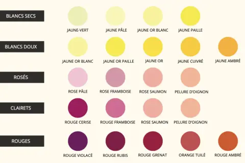 Tableau des couleurs de la robe d'un vin : du jaune pâle au rouge ambré, en passant par les rosés et clarets.