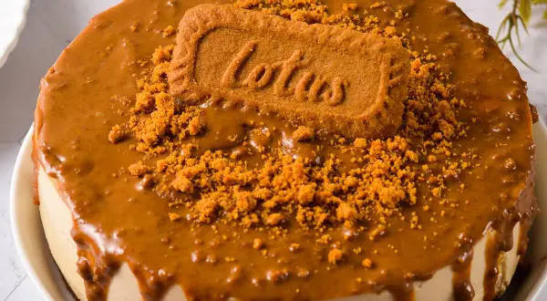 Gâteau spéculoos sans cuisson, nappé d'une sauce caramel et décoré d'un biscuit Lotus et de miettes de spéculoos.