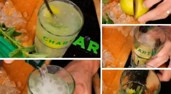 Préparation d'un cocktail rafraîchissant à la Chartreuse, avec de la menthe et du citron vert.