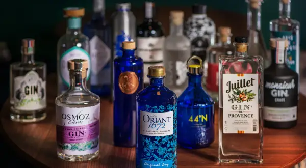 Collection de bouteilles de gin, mettant en avant divers gin ingrédients et leurs étiquettes.