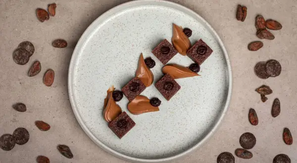 Carrés de brownie au chocolat, garnis de cerises, avec une crème onctueuse. Un délicieux dessert vegan, entouré de fèves de cacao et de pastilles de chocolat noir.