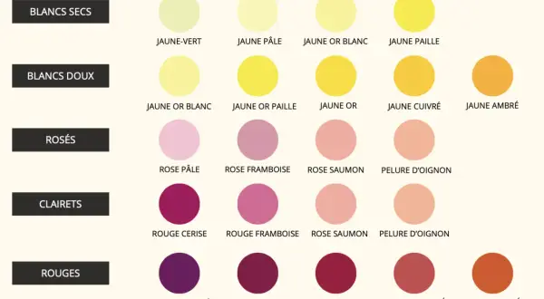 Tableau des couleurs de la robe d'un vin : du jaune pâle au rouge ambré, en passant par les rosés et clarets.