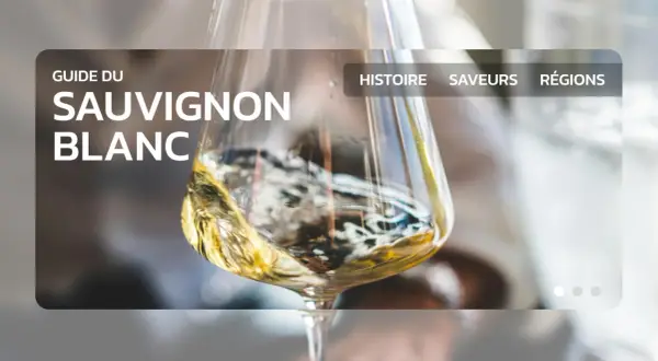Guide du Sauvignon Blanc : découvrez notre top 10 des vins blancs secs, leur histoire, leurs saveurs et leurs régions.