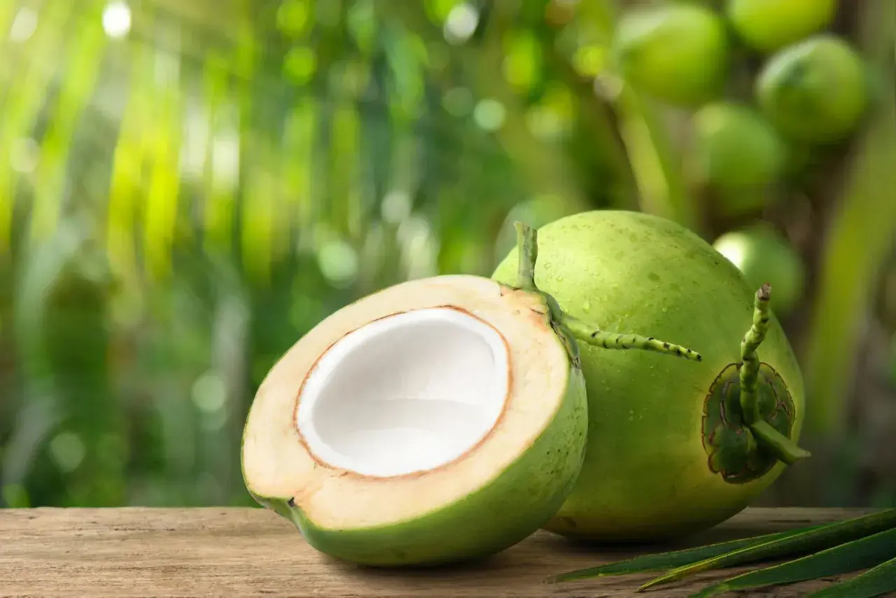 Un coco vin frais, coupé en deux, révèle sa chair blanche et son eau. Sur un fond de verdure tropicale, il invite à la dégustation.