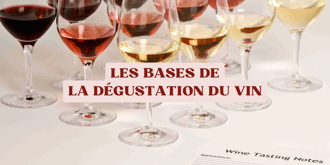 Verres de vin rouge, rosé et vin clair, prêts pour une dégustation.