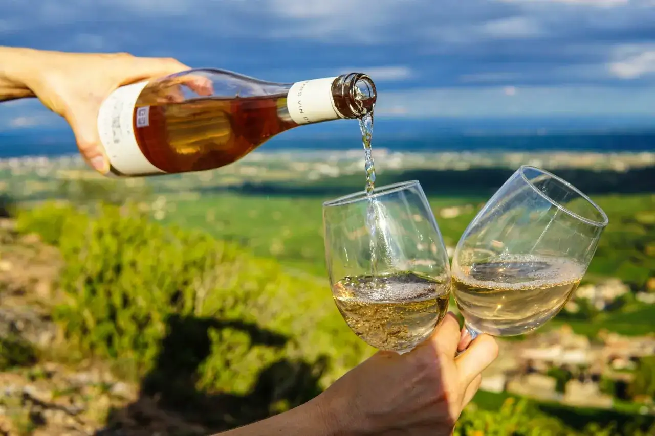 Un vin orange ambré, le meilleur, est versé dans deux verres avec un paysage verdoyant en arrière-plan.