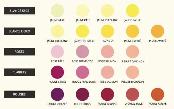 Tableau des couleurs de la robe d'un vin : du jaune pâle au rouge ambré, en passant par les rosés et clarets.