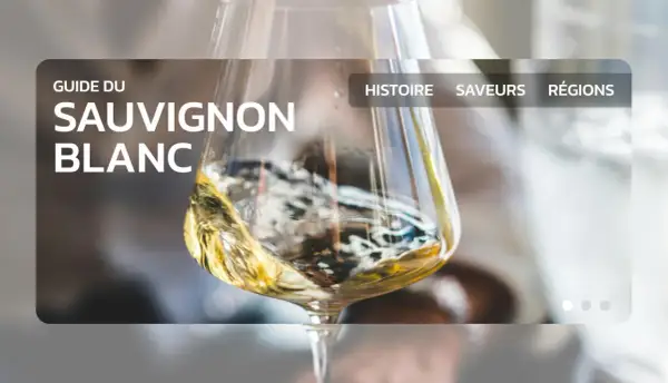 Guide du Sauvignon Blanc : découvrez notre top 10 des vins blancs secs, leur histoire, leurs saveurs et leurs régions.
