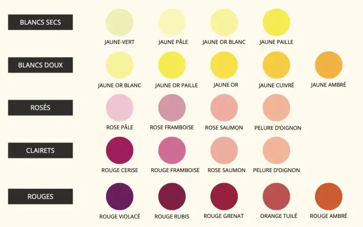 Lire la robe du vin - Le guide pour mieux déguster